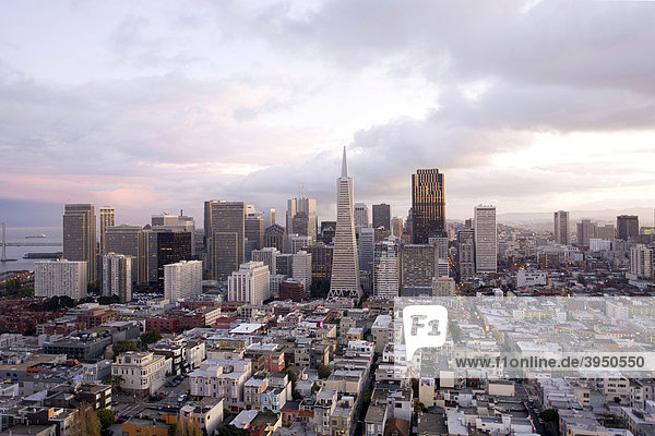 Aussicht vom Coit Tower  San Francisco  Kalifornien  USA  Vereinigte Staaten von Amerika