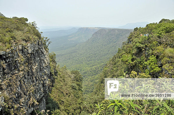 God's Window  Ausichtspunkt im Blyde River Canyon Nature Reserve  Panorama Route  Südafrika  Afrika