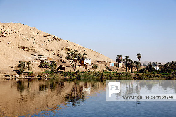 Ansiedlung am Ufer des Nils  Ägypten  Nordafrika  Afrika