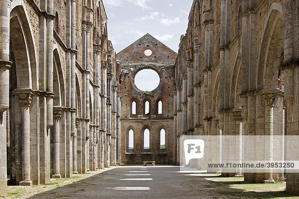 Innenraum der Klosterruine San Galgano  Toskana  Italien  Europa