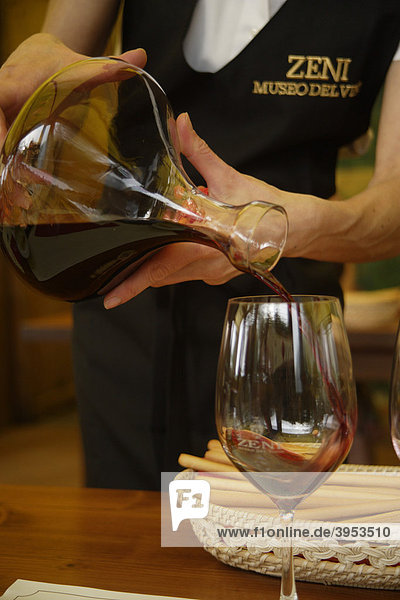 Weinprobe  Cantina di Vino  Zeni  Detail  Bild angeschnitten  Innenaufnahnme  Italien  Europa