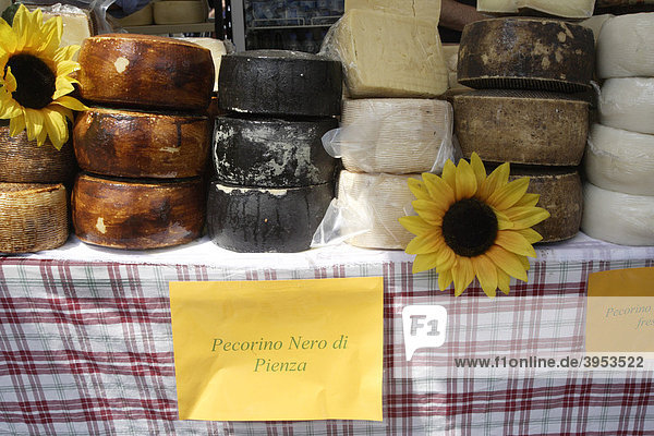 Käse  mehrere Sorten  Pecorino  Marktstand  Pienza  Toskana  Italien  Europa