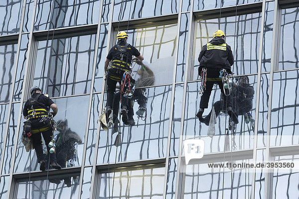 Glasfassade  Fensterputzer  Rückenansicht  Hochhaus  Frankfurt  Hessen  Deutschland  Europa
