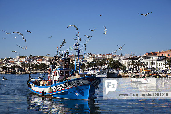 Blauer Fischkutter im Hafen von Lagos  Portugal  Algarve  Europa
