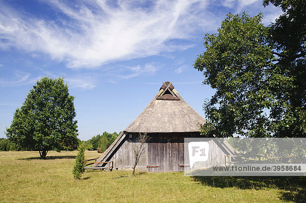 Historischer Schafstall bei Wilsede  Naturpark Lüneburger Heide  Niedersachsen  Deutschland  Europa