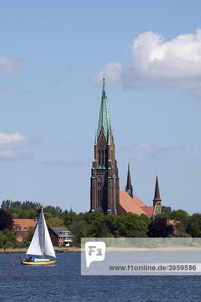 St Petri Dom in Schleswig an der Schlei  Schleswig-Holstein  Norddeutschland  Deutschland  Europa