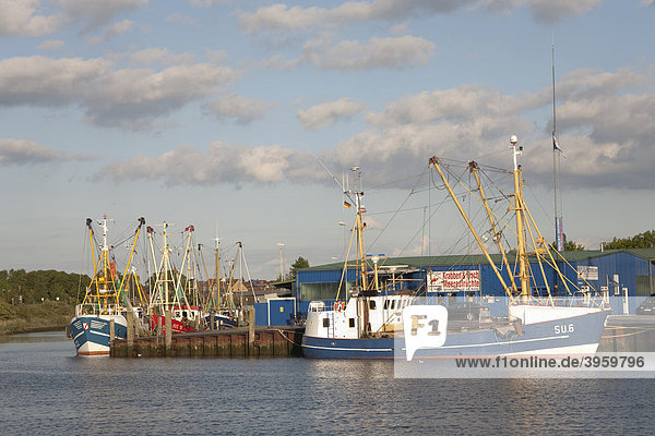 Krabbenkutter im Außenhafen von Husum  Schleswig-Holstein  Norddeutschland  Deutschland  Europa
