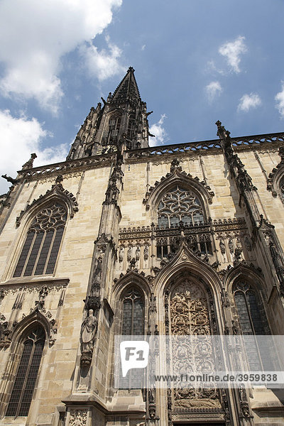 St. Lamberti Kirche mit dem Stammbaum Jesu  Wurzel Jesse  Münster  Nordrhein-Westfalen  Deutschland  Europa