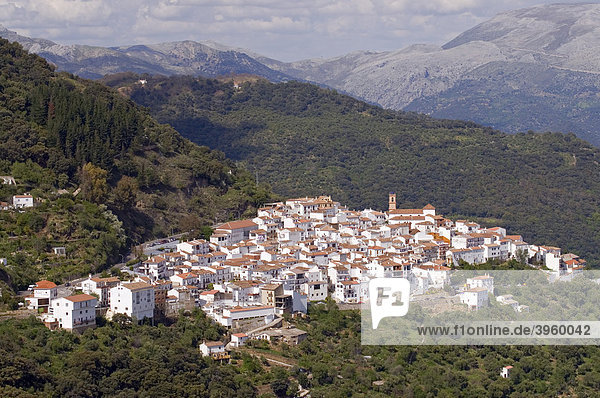 Algatocin  ein typisches weißes Dorf  Pueblo Blanco  in den Bergen von Andalusien bei Ronda  Spanien  Europa