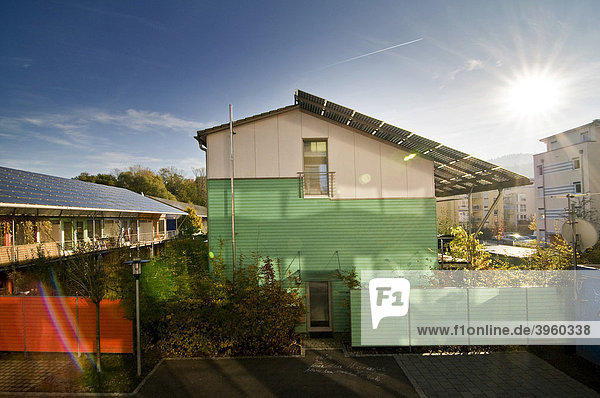 Passivhäuser mit Solaranlagen auf dem Dach  Vauban-Viertel  Freiburg im Breisgau  Baden-Württemberg  Deutschland