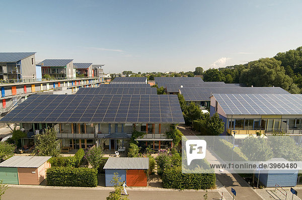 Solarsiedlung  Vauban  Freiburg im Breisgau  Baden-Württemberg  Deutschland  Europa