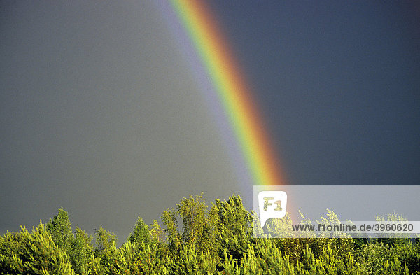 Regenbogen Nach Einem Regenschauer Munchen Bayern Deutschland Europa