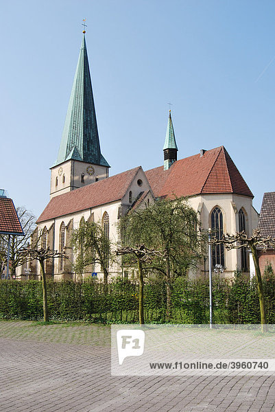 Remigius Kirche Borken  Münsterland  Nordrhein-Westfalen  Deutschland  Europa