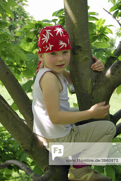 Girls  5 years old  wearing a pirate bandana  on the top of a climbing tree