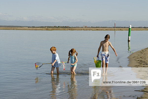 Children walking on the beach  seaside with fishing net and bucket at the Adria  Bibione  Venetia  Venice  Italy  Europe