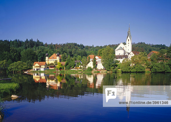 Castle and parish church Saint Laurentius  Ramspau on the river Regen  Upper Palatinate  Bavaria  Germany  Europe