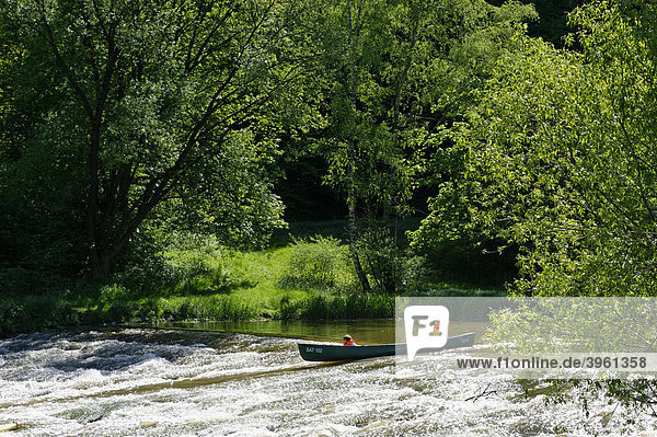 Canoe tour  canoe trip near Dollnstein in the Altmuehltal valley  Upper Bavaria  Germany  Europe