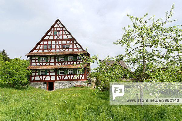 Bärbele Haus  Freilichtmuseum Neuhausen ob Eck  bei Tuttlingen  Baden-Württemberg  Deutschland  Europa