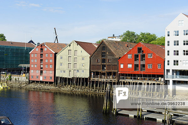 Ehemalige Handelshäuser am Kjopmannsgata über dem Nidelva  Trondheim  Norwegen  Skandinavien  Europa