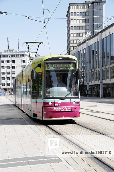 Straßenbahn Linie 12 nach Schwanheim  Bankenviertel  Frankfurt am Main  Hessen  Deutschland  Europa