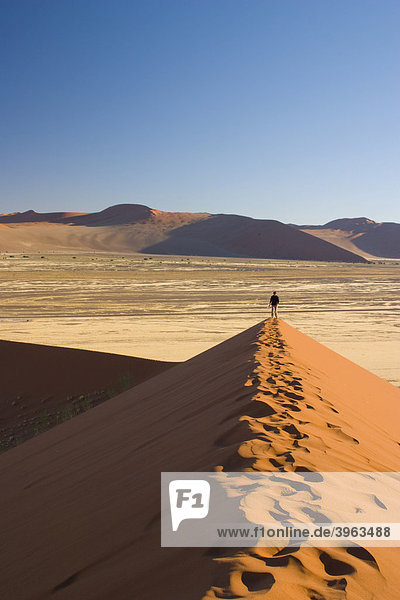 Sand dune  Sossusvlei  Namibia  Africa