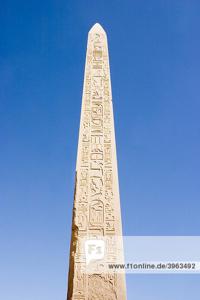 Obelisk  Tempel von Karnak  Ägypten  Afrika