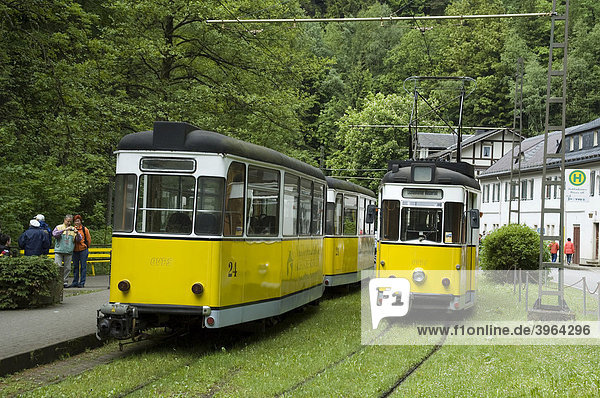 Kirnitzschtalbahn  Straßenbahn im Kirnitschtal  Sächsische Schweiz  Elbsandsteingebirge  Sachsen  Deutschland