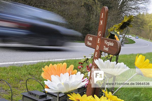 Gedenkkreuz der Stiftung Raser-Täter-Opfer  Unfallstelle auf der Insel Rügen  B 96 zwischen Lietzow und Bergen  Deutschland  Europa