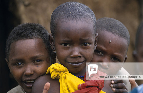 Massai Kinder  Portrait  Kenia  Afrika