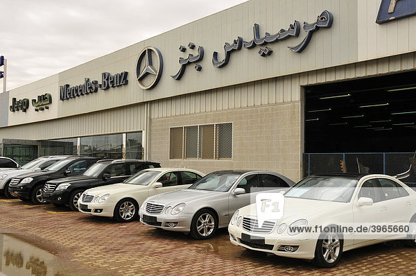 Neuwagen vor der Mercedes-Filiale von Al Ain  Abu Dhabi  Vereinigte Arabische Emirate  Arabien  Orient  Naher Osten