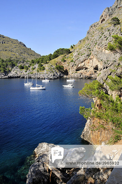Ausflugsboote am Eingang zur Schlucht Torrent de Pareis  Sa Calobra  Mallorca  Balearen  Spanien  Europa