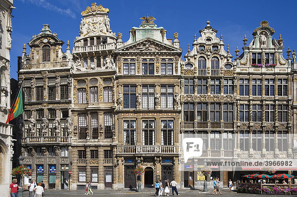 Häuser der Gilden  Grand Place  Unesco Weltkulturerbe  Brüssel  Brabant  Belgien  Europa