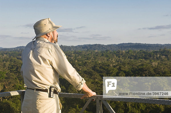 Mann schaut über den Amazonas Wald von einem Canopy Turm  Cristalino State Park  Alta Floresta  Mato Grosso  Brasilien  Südamerika
