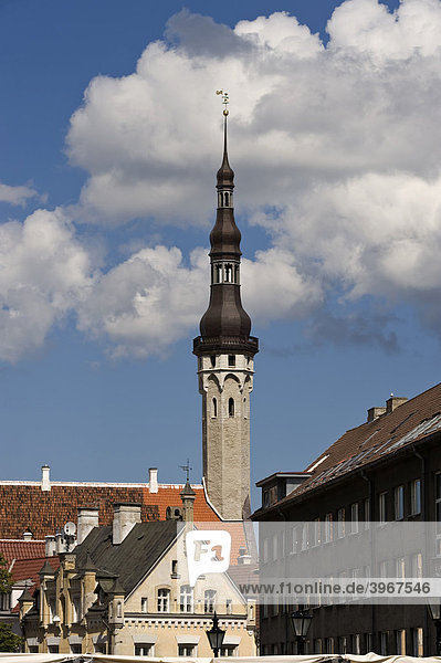 Rathausturm  Tallinn  Estland  Baltikum