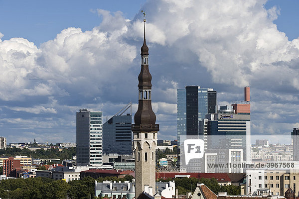 Rathaus und Skyline  Tallinn  Estland  Baltikum