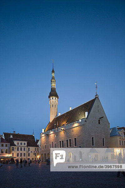 Rathaus in der blauen Stunde  Tallinn  Estland  Baltikum
