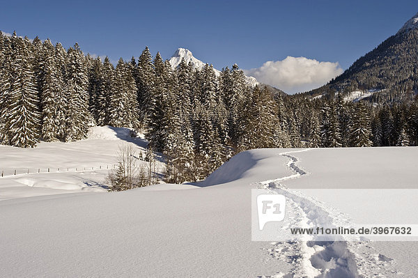 Tief verschneite Winterlandschaft mit Schneeschuhspur und Guffert,  Achenkirch,  Tirol,  Österreich