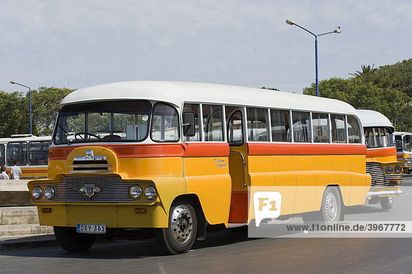 Typischer alter Bus  Malta