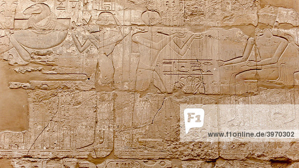 Wandzeichnungen  Hieroglyphen im Karnak Tempel  Luxor  Ägypten  Afrika
