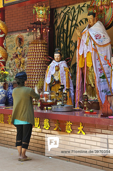 Woman praying standing up in front of a Buddha altar  Quan Am Pagoda  Ho Chi Minh City  Saigon  Vietnam  Southeast Asia