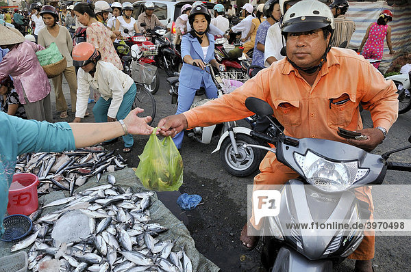 Man on scooter buys at the fish market  Vinh Longh  Mekong Delta  Vietnam  Asia