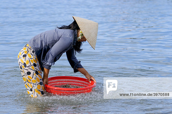 Frau wäscht einen Korb voller Fische im Meer am Fischmarkt  Strand von Mui Ne  Vietnam  Asien