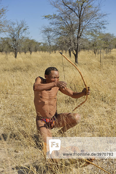San man demonstrating the use of a bow and arrow  Zelda Guestfarm  Namibia  Africa