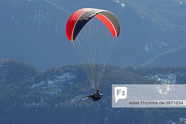 Gleitschirmflieger am Brauneck Lenggries Oberbayern Bayern Deutschland Europa