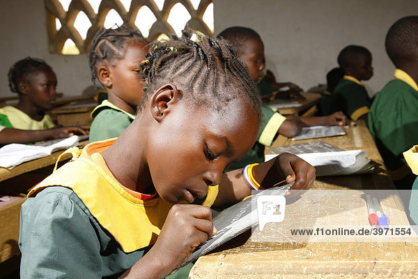 Mädchen in Uniform während des Schulunterrichts  Mora  Kamerun  Afrika