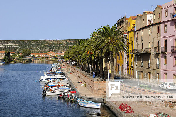 Boote auf dem Fluss Temo und die Altstadt von Bosa  Palmen an der Uferpromenade  Bosa  Oristano  Sardinien  Italien  Europa