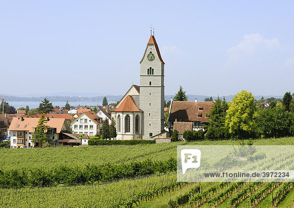 Kirche von Hagnau am Bodensee  Baden-Württemberg  Deutschland  Europa