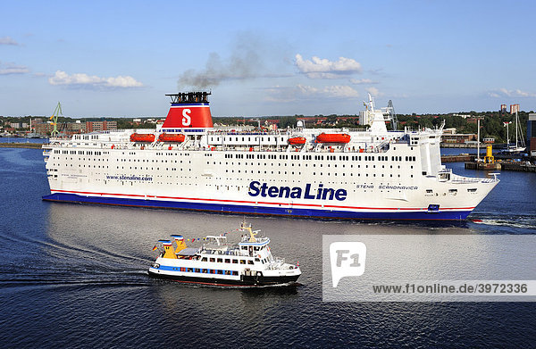 Fährschiff Stena Line im Ostseekanal  Kiel  Schleswig-Holstein  Deutschland  Europa