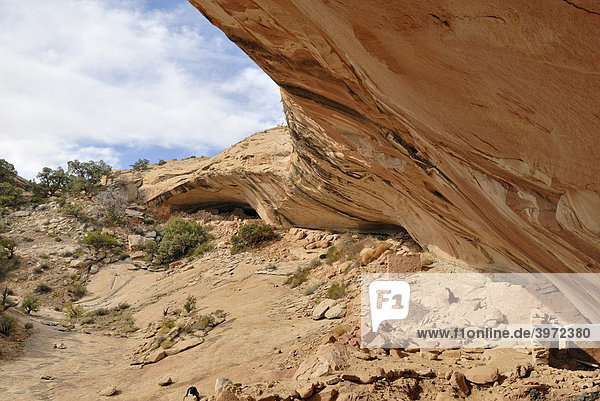 Überhängende Felswand  darunter historische Überreste von Behausungen der Anasazi-Indianer  ca. 900 Jahre alt  Cold Springs Cave bei Bluff  Utah  USA