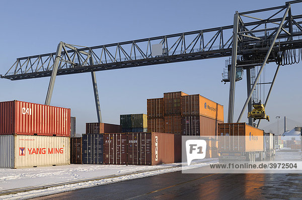 Containerterminal Hafen Bonn  Containerbrücke nimmt Container von LKW auf  Bonn  Nordrhein-Westfalen  Deutschland  Europa
